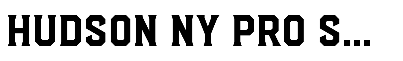 Hudson NY Pro Serif Semi Bold